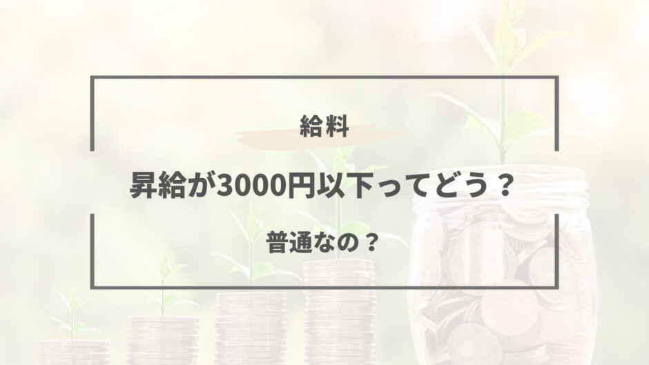 昇給 3000円