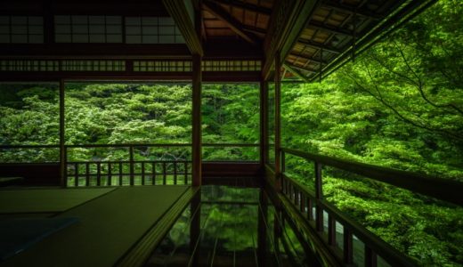 京都旅行 安い時期